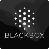 BlackBox AI